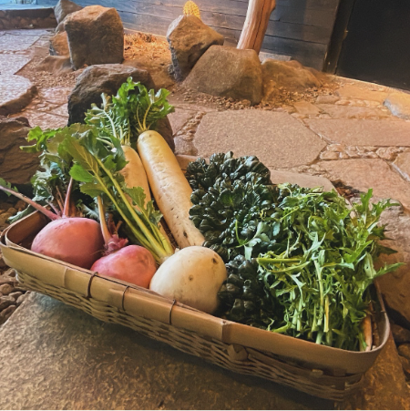 『漢方』野菜 贅沢なお試しセット