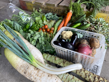『漢方』野菜 贅沢Lサイズセット